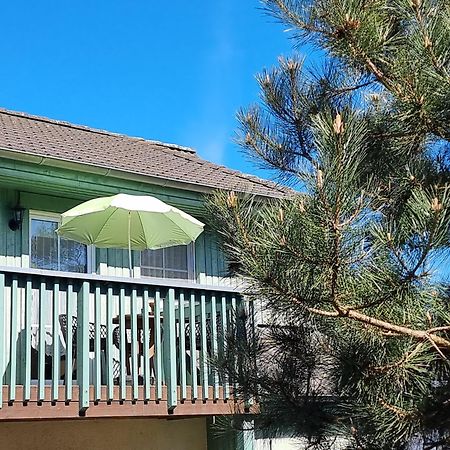 Ferienwohnung Strandwurzel Zempin Exterior foto